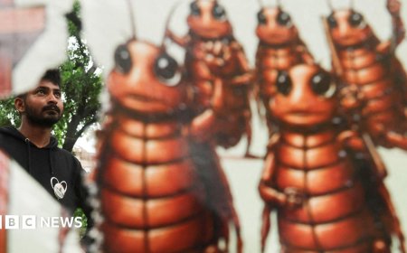 Indian police cracked down on 'cockroach' protesters. They went home and made memes about it