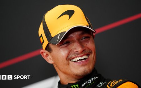 Norris and McLaren almost perfect as Ferrari flounder in Hungary