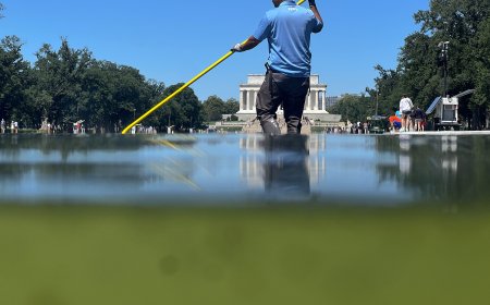 Grand Jury Skullduggery, Reflecting Pool Edition?