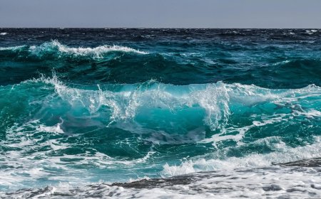 1inch opens Aqua liquidity protocol across 13 chains