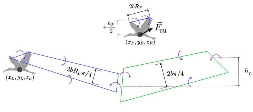V Formation Flying of Birds is Explained by a Minimal Wake–Vortex Model