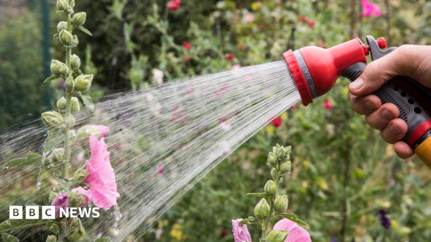 Hosepipe ban in force for millions of households - is your area affected?