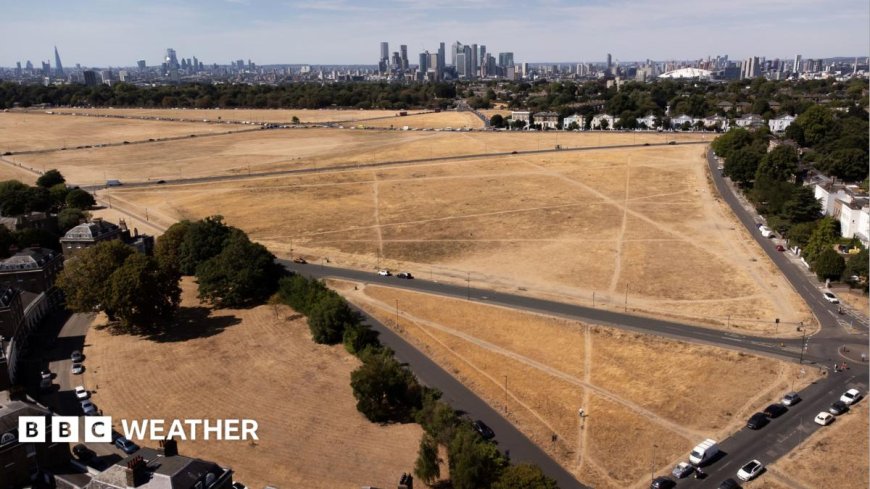 Rain to return this weekend as parts of UK on brink of drought