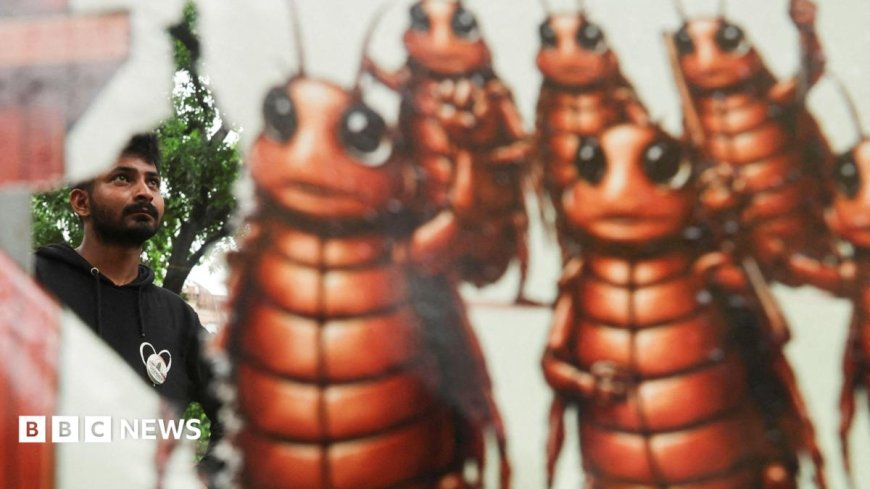 Indian police cracked down on 'cockroach' protesters. They went home and made memes about it