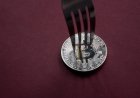Bitcoin holders risk losing real BTC if they sell coins from BIP-110 fork, says developer