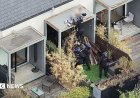 Watch moment police arrest wanted man while he slept on roof