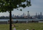 How Much of N.Y.C. Is Covered by Trees? Not Enough.