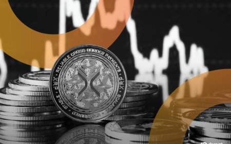 XRP, Bitcoin Whales Are Accumulating—Is the Bear Market Nearly Over?
