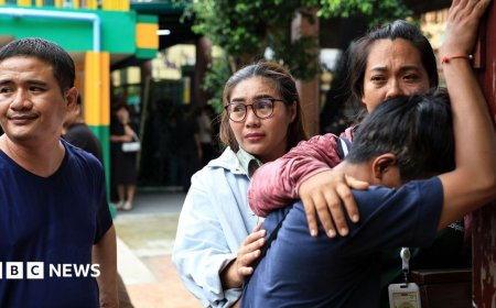 Seven killed after Thai student opens fire at home and school