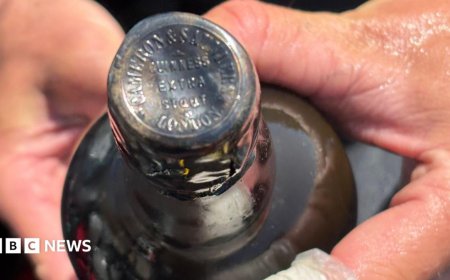 Divers find 162-year-old Guinness in shipwreck off the English coast