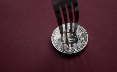 Bitcoin holders risk losing real BTC if they sell coins from BIP-110 fork, says developer