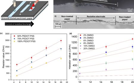 High-Density Parchment Paper Papertronics with Laser-Carved Hydrophilic Channels