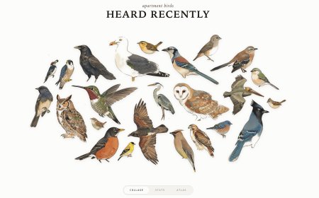 Track Bird Visitors With a Raspberry Pi and a USB Mic