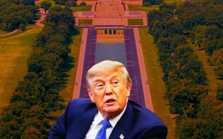 Trump Admits to ‘Some Contractor Error’ As WH Asks DOJ to Consider New Charges: Catching Up on the Reflecting Pool Drama