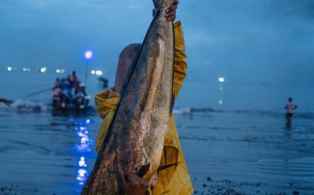 New Clues in Mystery Strikes on Ecuadorian Fishing Boats