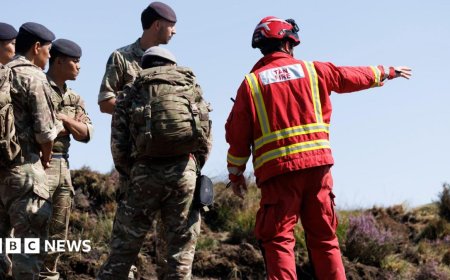 Soldiers praised for 'phenomenal job' helping crews tackle wildfires