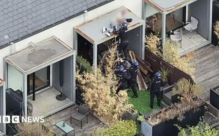 Watch moment police arrest wanted man while he slept on roof