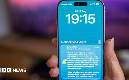 Emergency phone alert put domestic abuse victims at risk, campaigners say