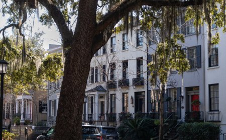 Which U.S. Cities Are People Moving To?