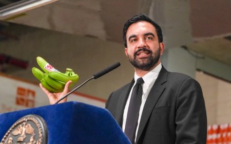 PSA: There Will Be No Sympathy Note From the Mayor If You're Killed BY an Illegal Alien in His City