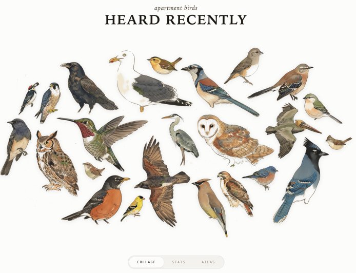 Track Bird Visitors With a Raspberry Pi and a USB Mic