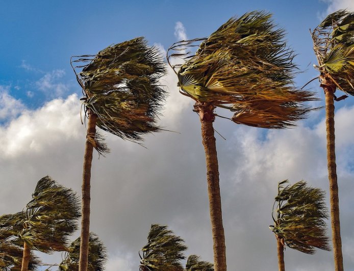 Cluster of headwinds weigh on bitcoin. XRP teeters near $1