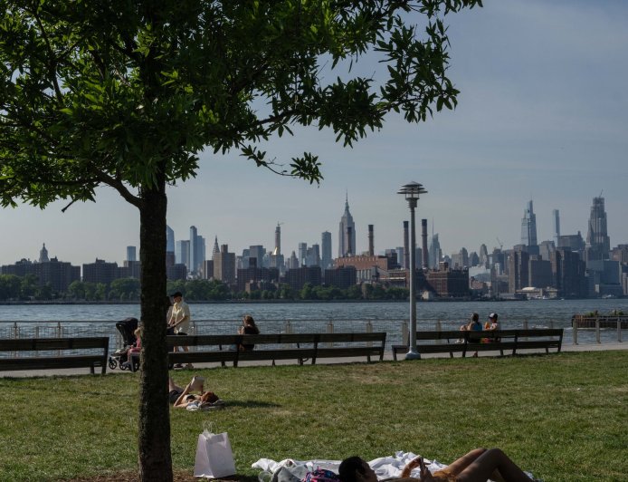 How Much of N.Y.C. Is Covered by Trees? Not Enough.
