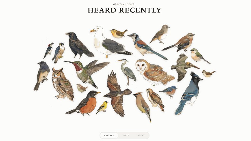 Track Bird Visitors With a Raspberry Pi and a USB Mic
