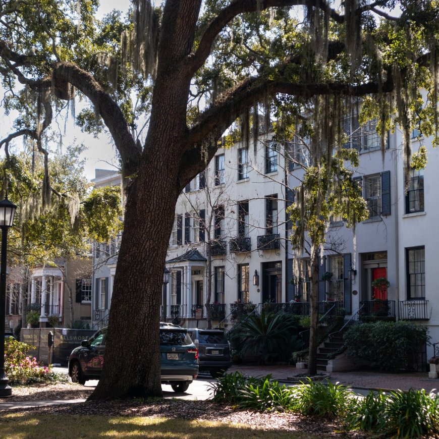 Which U.S. Cities Are People Moving To?